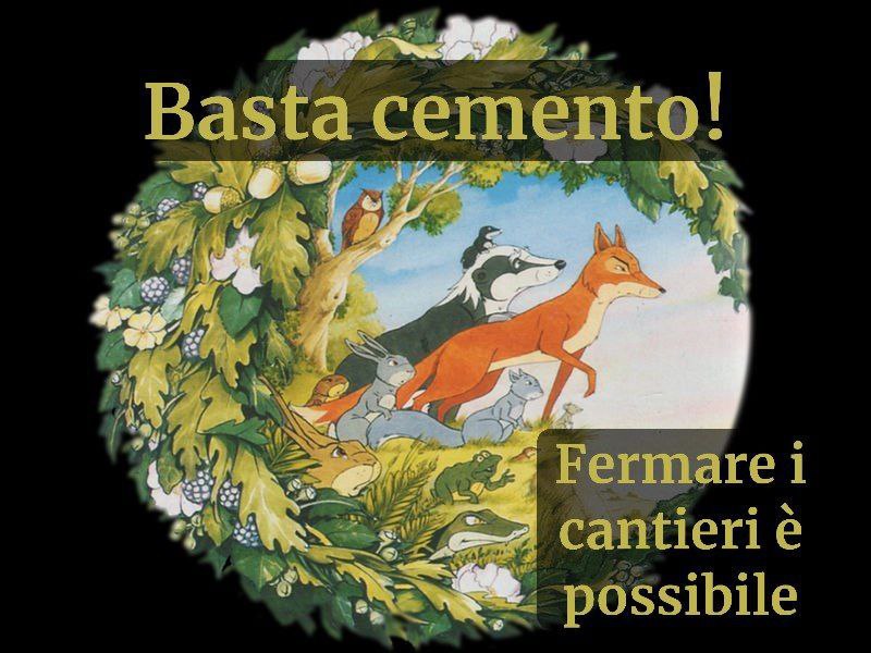 photo_5906649140010533007_x photo_5906649140010533007_x